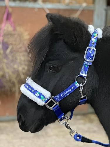 Halfter mit Weihnachtsdruck, blaues Halfter, Leinenseil-Set für Mini-Shetland (Pony) von Equipride