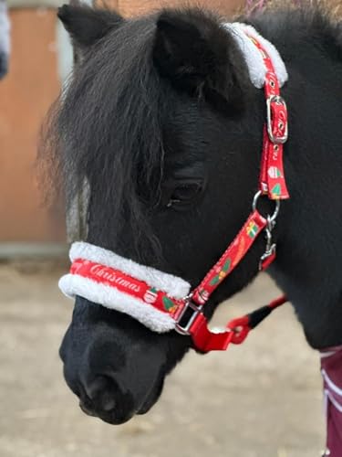 Pferdehalfter Führstrick Set mit Weihnachtsdruck Rot Full-Mini Shetland Red (Cob) von Equipride