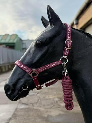 Pferdehalfter und Führstrick Set, Burgunderrot mit Punkten, verstellbares Halfter Full-Mini Shetland (Cob) von Equipride