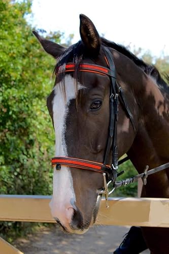 equipride Bling mit Kristall Trensenzaum Curve Form Orange von Equipride