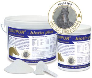 Equipur biotin Plus 1kg von Equipur