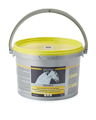 EQUISTRO® Triforce | Ergänzungsfuttermittel für Pferde | Zur Stärkung von Ausdauer, Kondition & Rittigkeit | Schutz der Muskulatur vor oxidativem Stress | 1800 g von Equistro