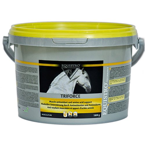 Equistro Triforce 1,8 kg von Equistro