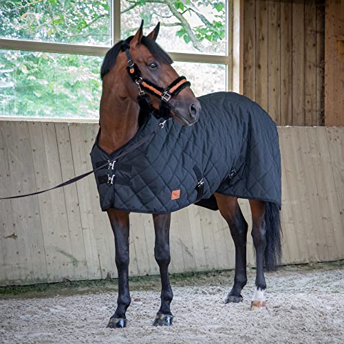 Equithème Paddock 200g, Größe:125 cm / 5'9, Farbe:schwarz von Equithème