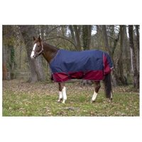 Equitheme Regendecke 50 g 1200 Denier 1,25 m von Equitheme