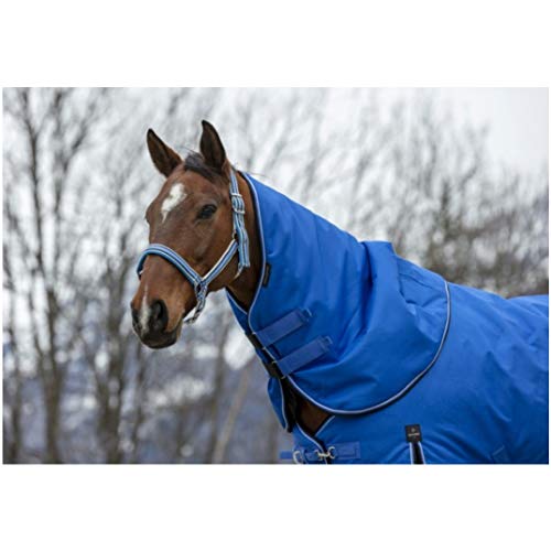 Halsteil für Weidedecke 200g Füllung 1200D TYREX EquiTheme blau/schwarz Vollblut von Equithème