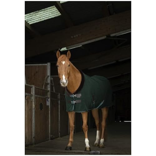 Stalldecke mit Polarfleece Teddy EquiTheme Marineblau 145cm von Equitheme