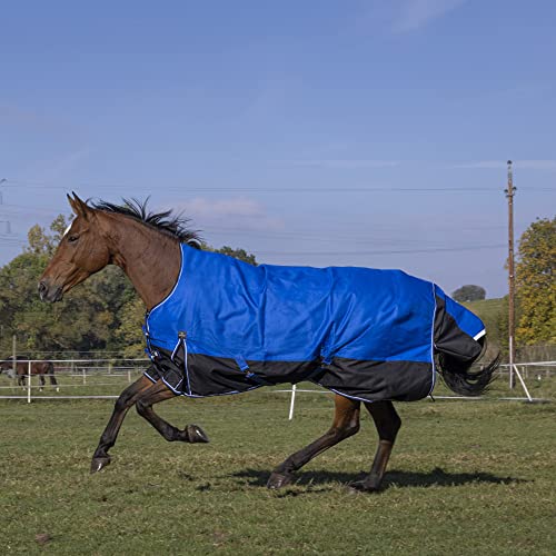 Winterdecke Highneck Combo 300g Füllung TYREX 1200D AISANCE EquiTheme blau/schwarz 105cm von Equitheme