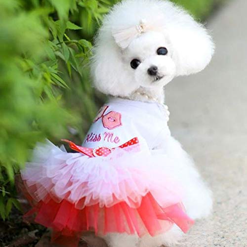 EraAja Haustier Welpen Kleiner Hund Katze Spitzenrock Prinzessin Tutu Kleid Kleidung Kostüm Hundemantel Mit Geschirr Für Kleine Hunde (Pink, M) von EraAja