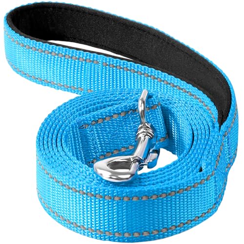 Erbine Reflektierende Nylon-Hundeleine mit weich gepolstertem Griff zum Gehen, Laufen und Training, unterstützt kleine, mittelgroße und große Hunde, Auqa-Blau, 1,9 cm breit von Erbine