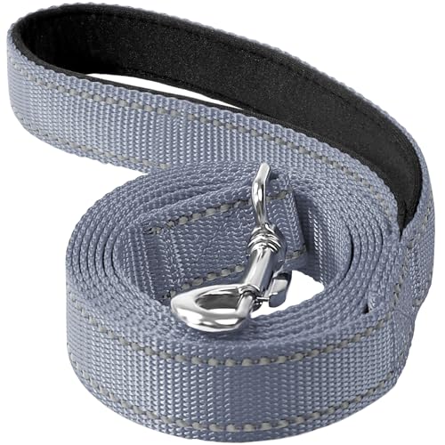 Erbine Reflektierende Nylon-Hundeleine mit weich gepolstertem Griff zum Gehen, Laufen und Training, unterstützt kleine, mittelgroße und große Hunde, Grau, 1,9 cm breit von Erbine