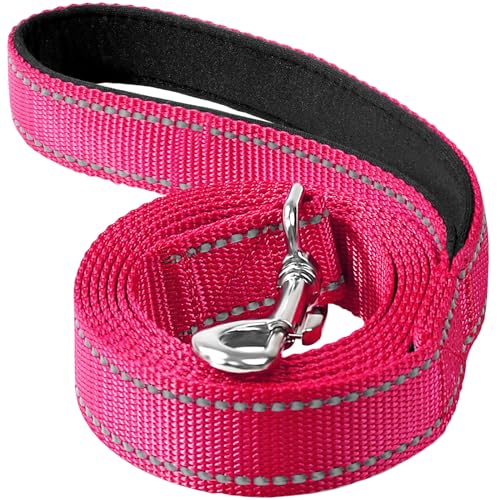 Erbine 1,2 m Hundeleine für kleine, mittelgroße und große Hunde | einseitig reflektierendes Nylon | gepolsterter Griff | 2,5 cm breit | Hot Pink von Erbine