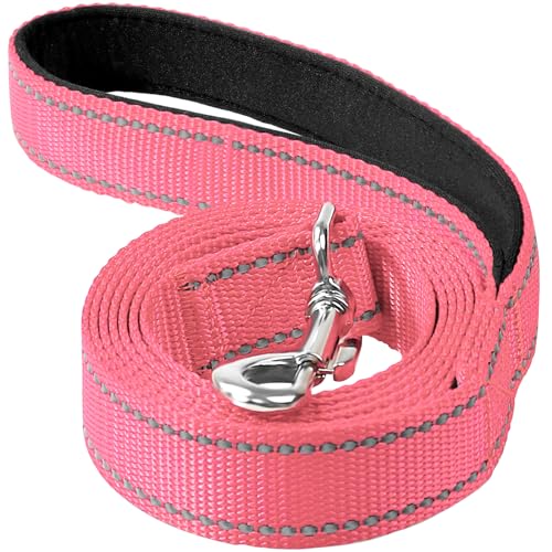 Erbine 1,2 m Hundeleine für kleine, mittelgroße und große Hunde | einseitig reflektierendes Nylon | gepolsterter Griff | 2,5 cm breit | Neonpink von Erbine