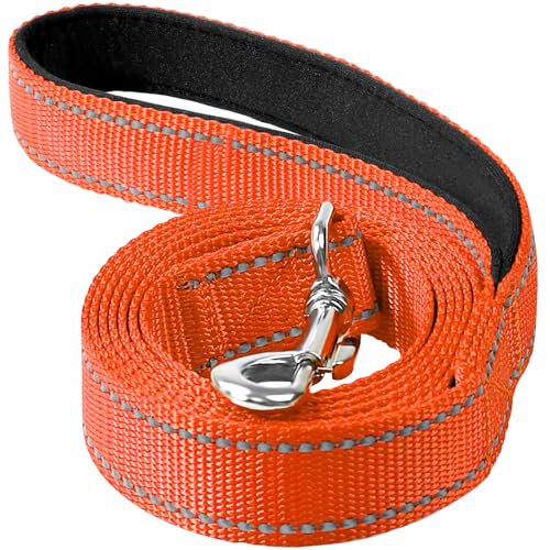 Erbine 1,2 m Hundeleine für kleine, mittelgroße und große Hunde | einseitig reflektierendes Nylon | gepolsterter Griff | 2,5 cm breit | Orange von Erbine