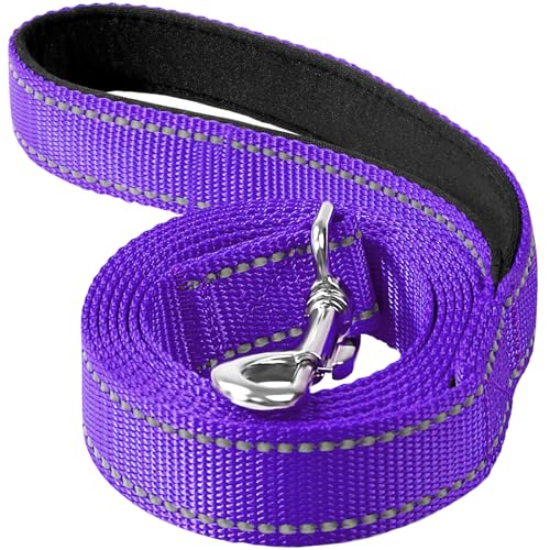 Erbine Reflektierende Nylon-Hundeleine mit weich gepolstertem Griff zum Gehen, Laufen und Trainieren, unterstützt kleine, mittelgroße und große Hunde, Violett, 1,9 cm breit von Erbine