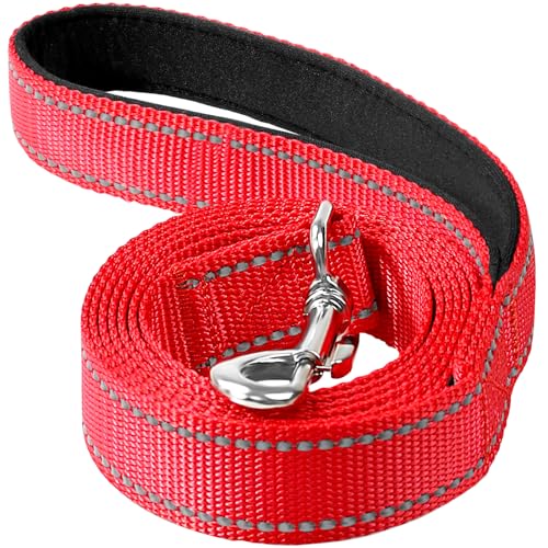 Erbine Reflektierende Nylon-Hundeleine mit weich gepolstertem Griff zum Gehen, Laufen und Training, unterstützt kleine, mittelgroße und große Hunde, Rot, 2,5 cm breit von Erbine