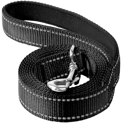 Erbine Reflektierende Nylon-Hundeleine mit weich gepolstertem Griff zum Gehen, Laufen und Training, unterstützt kleine, mittelgroße und große Hunde, Schwarz, 2,5 cm breit von Erbine