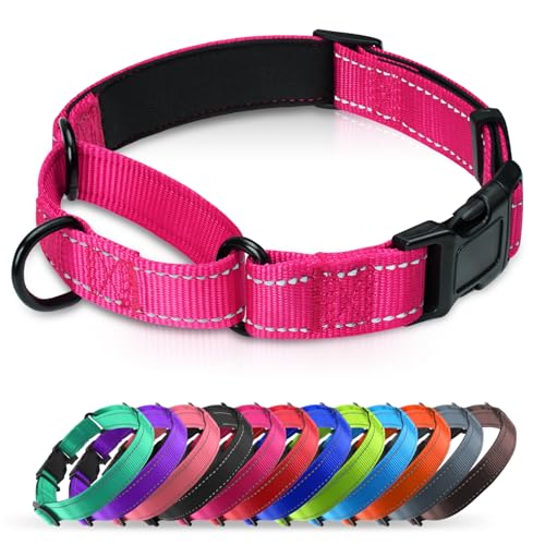 Erbine Gepolstertes Martingale-Halsband für Hunde, Neopren, Martingal-Hundehalsband, reflektierendes Nylon-Martingale-Halsband, verstellbares Martingale-Halsband für kleine, mittelgroße und große von Erbine