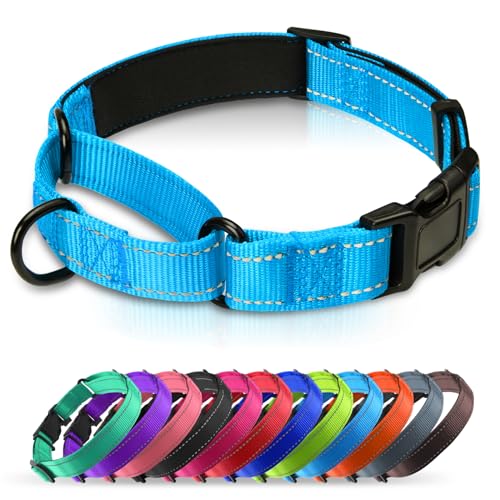 Erbine Gepolstertes Martingale-Halsband für Hunde, Neopren, Martingal-Hundehalsband, reflektierendes Nylon-Martingale-Halsband, verstellbares Martingale-Halsband für kleine, mittelgroße und große von Erbine