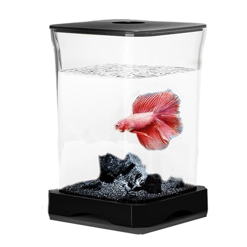 Erconsso Betta Fish Tank Kit, Betta Fischtank,Modernes Aquarium - Kleines Betta -Fischtank -Starter -Kit mit rechteckigem Aquarium für LED -Lampen für die Tischdekoration von Erconsso