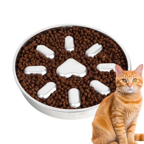 Erconsso Langsamfütterung Hundenapf,Slow Feeder Für Kleine Hunde | Edelstahl Anti-Würgen Beschäftigungsnapf Für Welpen Und Hunde Aller Größen Zur Förderung Artgerechter Nahrungsaufnahme Erconsso Langsamfütterung Hundenapf,Slow Feeder Für Kleine Hunde | Edelstahl Anti-Würgen Beschäftigungsnapf Für Welpen Und Hunde Aller Größen Zur Förderung Artgerechter Nahrungsaufnahme von Erconsso