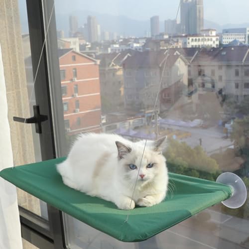 Katzen-Fenster-Hängematten-Sitzstange, Katzen-Fensterstange mit 4 starken Saugnäpfen, Sicherheitskatzen-Fensterbett, platzsparende Katze, sonniger Fenstersitz für den Innenbereich, großes von Erconsso