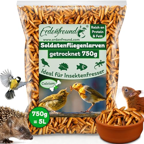 ERDENFREUND® Soldatenfliegenlarven getrocknet 50x mehr Calcium als getrocknete Mehlwürmer 100% naturbelassen Topqualität schonend getrocknete Insekten (Premium Soldatenfliegenlarven getrocknet) von Erdenfreund