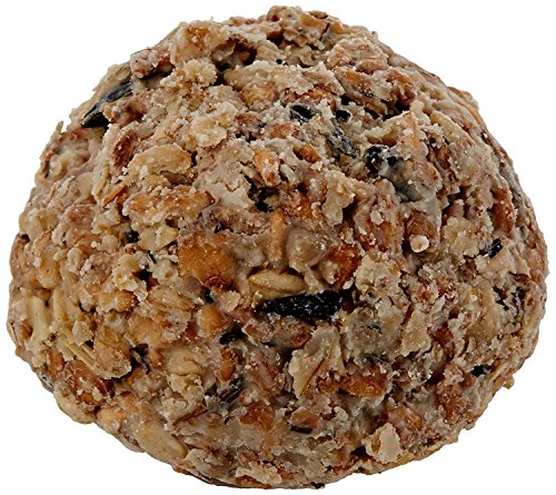 Erdtmanns Meisenknödel 100er ohne Netz, 1er Pack (1 x 8.5 kg) I Umweltfreundlich I Vielfältige Zusammensetzung I Leichte Nahrungsaufnahme I Festmahl für Singvögel I Einfache Handhabung von Erdtmanns