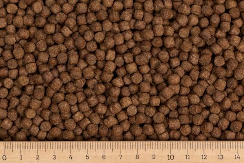 (Grundpreis 1,88 Euro/kg) - 30 kg Premium Karpfenfutter Orea-Carp - 6,0 mm - Karpfen schwimmend - Karpfenpellets von Erzgebirgs-Fisch