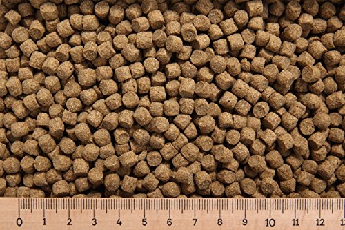 (Grundpreis 3,90 Euro/kg) - 5 kg Karpfenfutter PP 6,0 mm 30/5 schwimmend Cypriniden - Karpfenpellets von Erzgebirgs-Fisch