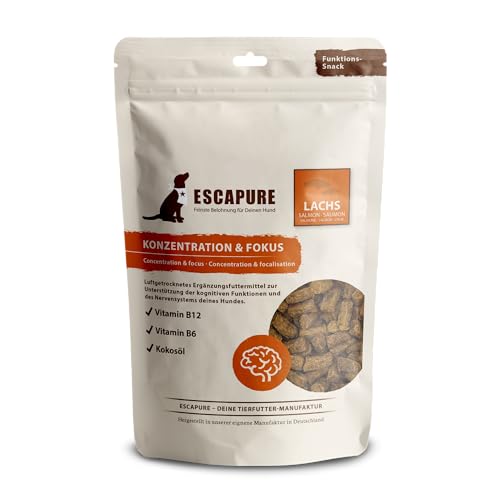 ESCAPURE Konzentration & Fokus - Natürlicher Lachsfilet Snack mit Kokosöl & Vitamin B für Hunde – Premium Protein Leckerli zur Stärkung des Nervensystems - ideal für mehr Aufmerksamkeit (150g) von Escapure