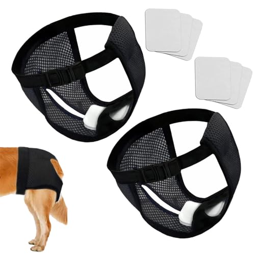 2 Stück Höschen für Hund Weiblich Wärme Hunde Verstellbare Hundehose Hundehose Hundezyklus, Hygienebinden für Hunde aus Wickelnetz, Esforzarse mit 6 Ersatzpads (L) von Esforzarse