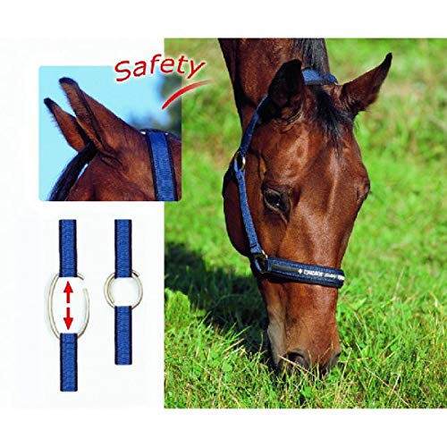 ESKADRON SAFETY Halfter mit Zierband, schwarz, Pony (P2) von Eskadron