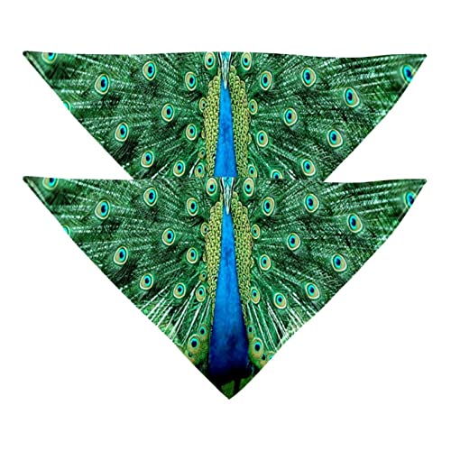 Hundehalstücher, 2 Stück, Amazing Peacock Spreads Its Tail Pet Scarf, Chiffon-Bandanas Triangel-Lätzchen, Zubehör für kleine, mittelgroße und große Hunde, Welpen, Haustiere von Eslifey