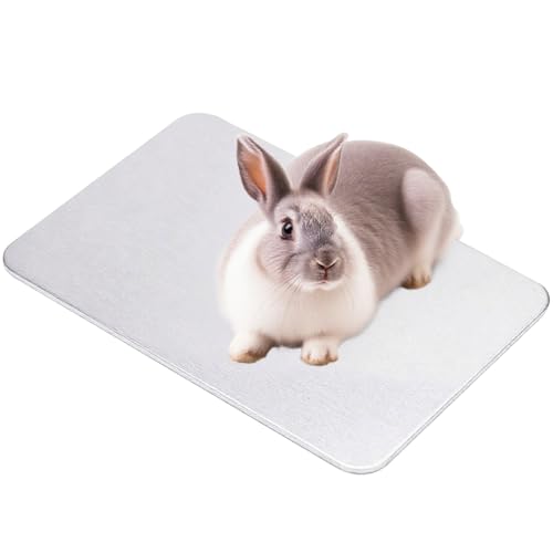 Esshogo 1 Stück Kühlmatte für Kleintiere, Kaninchen-Kühlkissen, Kühlplatte für Haustiere, Hamster kühlkompresse, Kühlplatte Hamster, Haustier kühlmatte Esshogo 1 Stück Kühlmatte für Kleintiere, Kaninchen-Kühlkissen, Kühlplatte für Haustiere, Hamster kühlkompresse, Kühlplatte Hamster, Haustier kühlmatte von Esshogo