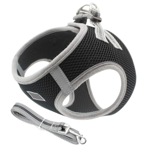 Esshogo Hundegeschirr Set mit Leine für kleine Hunde Geschirr Verstellbar Step-in Mesh reflektierend Harness Hunde geeignet für Welpen, kleine Hunde und Katzen（Schwarz,M） von Esshogo