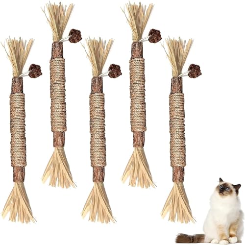 Esshogo Katzenminze Sticks,5Pcs Katzensticks Zur Zahnreinigung, Katzen Sticks Kausticks Interaktives Katzenspielzeug,zur Katzen Zahnpflege und Gegen Mundgeruch von Esshogo