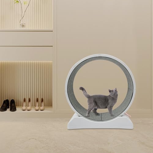 Katzenlaufrad Großes Laufrad für Katzen 80cm – Natürliche Katzenrad aus Massivholz für Drinnen Katzen, Sicherheits Katzen Laufrad mit Schloss und Minimiertem Spaltdesign | 80 * 35 * 85 cm | Grau | von Estabeter