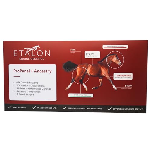 Etalon Diagnose Pferd DNA Kit Mini Panel Plus Acestry von Etalon Diagnostics