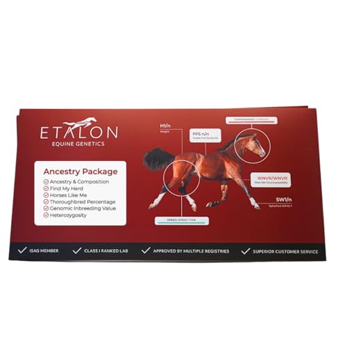 Etalon Diagnostics Equine Ancestry DNA Test Kit, Horse Breed Composition, Relative Finder, Inzuchtanalyse von Etalon Diagnostics