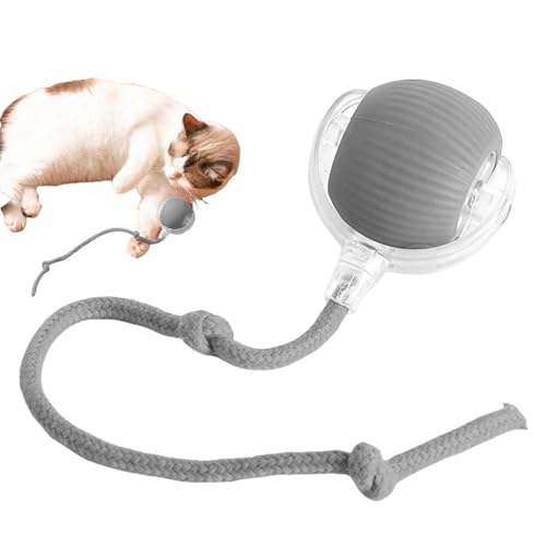 Eteslot Smart Cat Toy Ball Interactive Rolling Ball for Cat Dog, Elektrisch Interaktives Katzenspielzeug, Katzensprint Spielzeug, Selbstrollender Ball Für Katzen, Automatisches Katzenspielzeug von Eteslot