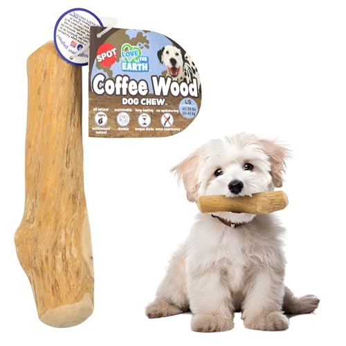 SPOT by Ethical Products,Hundespielzeug aus Kaffeeholz,100% natürlich nachhaltig bezogen, Apportierspielzeug,Medium von SPOT