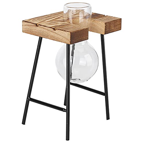 Glas-Pflanzgefäß, Tischvase, Pflanzenvase, Tischvase, Glühbirne, Holzständer, Glühbirne, Glasvase, Hydrokultur-Pflanzgefäß für Zuhause, Büro, Garten (Eine Flasche + Bank) von Eujgoov