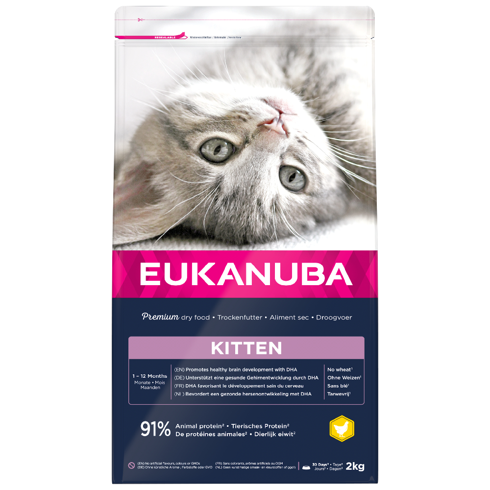 2 kg Eukanuba zum Sonderpreis! - Healthy Start Kitten von Eukanuba