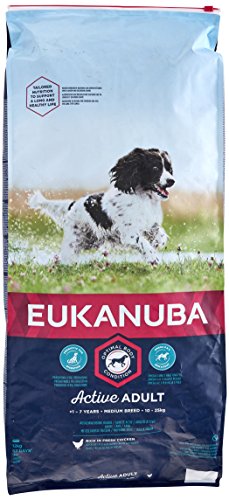 EUKANUBA Hund Adult Medium Breed Huhn 12 kg von Eukanuba