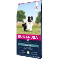 EUKANUBA Trockenfutter Hund Small & Medium Breed Adult, Lamm & Reis 12 kg von EUKANUBA