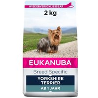 EUKANUBA Breed Specific Yorkshire Terrier 2kg von EUKANUBA