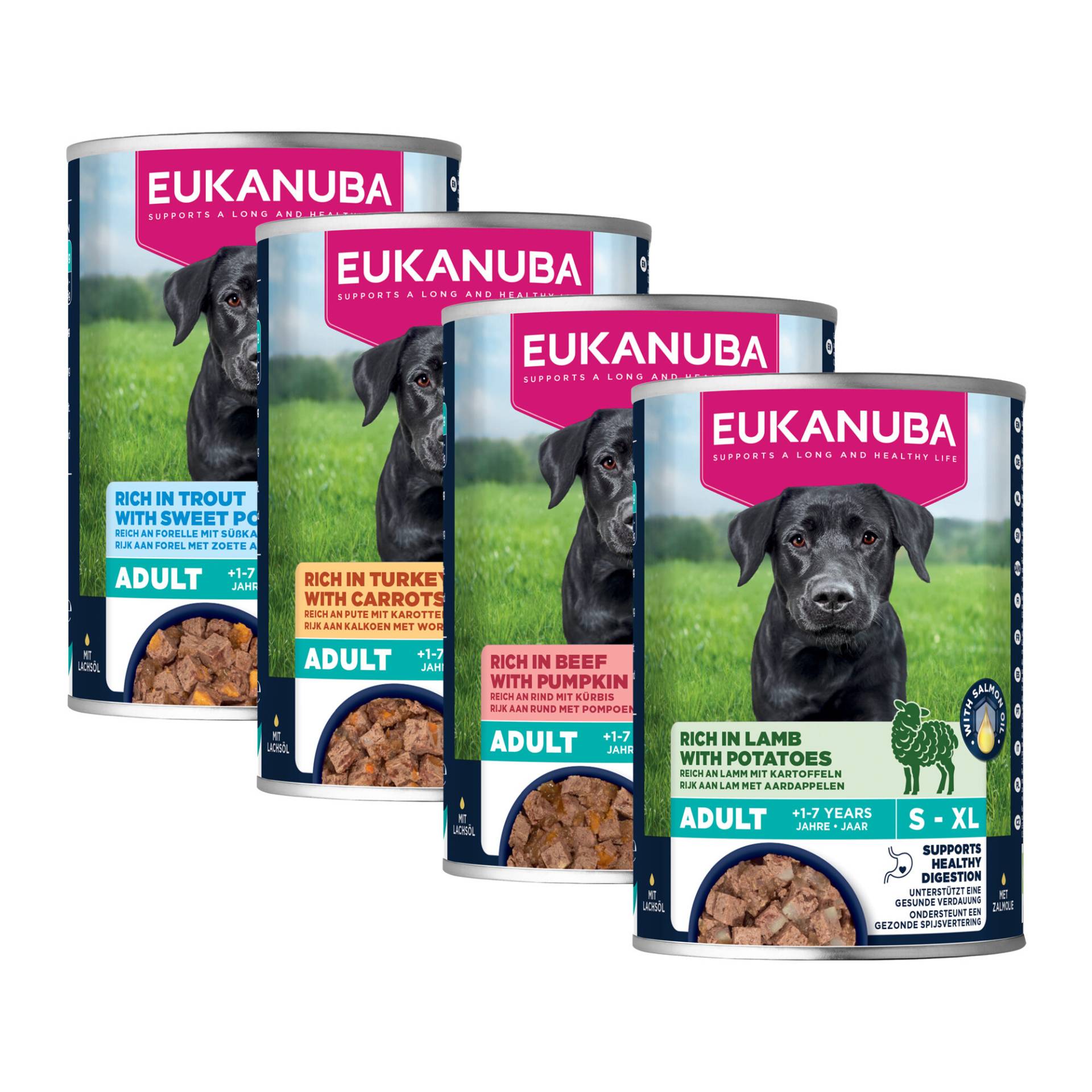 Eukanuba Dog Adult - Nassfutter - Rindfleisch & Kürbis - 6 x 400 g Eukanuba Dog Adult - Nassfutter - Rindfleisch & Kürbis - 6 x 400 g von Eukanuba