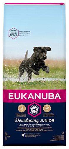 Eukanuba Dog - Developing Junior - Large Breed - 12 kg von Eukanuba