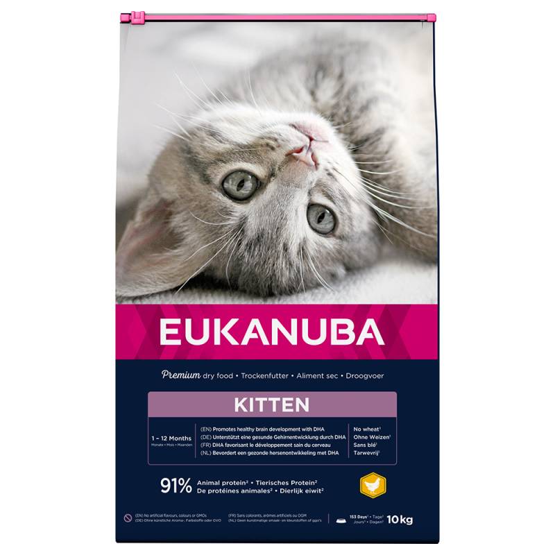 Eukanuba Healthy Start Kitten - Sparpaket: 2 x 10 kg von Eukanuba